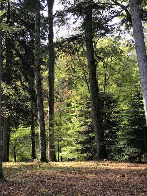 Domaine De La Vaudouriere Villa Lunay Bagian luar foto
