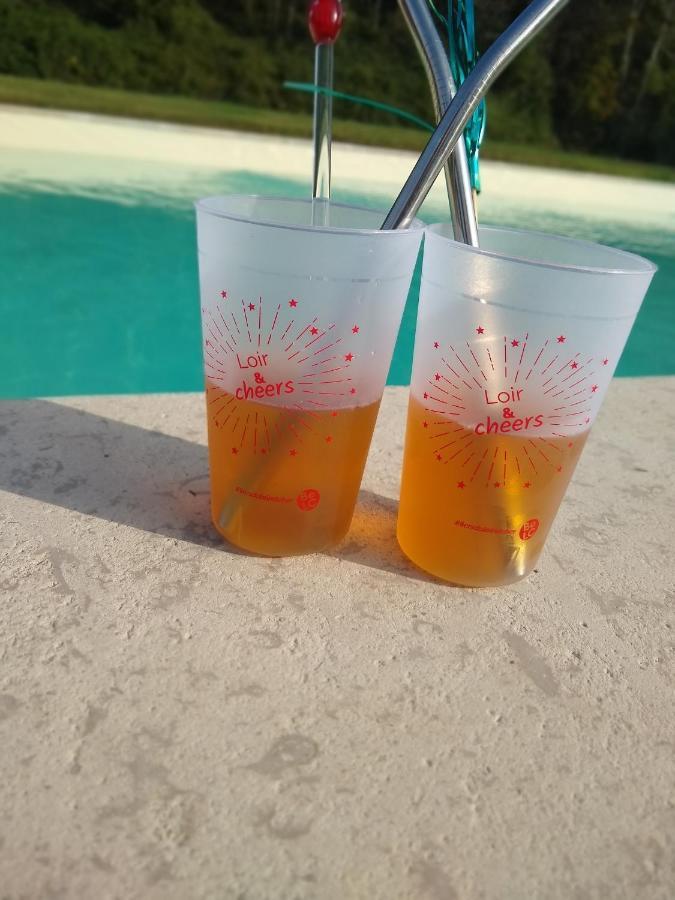 Domaine De La Vaudouriere Villa Lunay Bagian luar foto