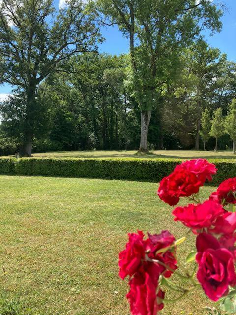 Domaine De La Vaudouriere Villa Lunay Ruang foto