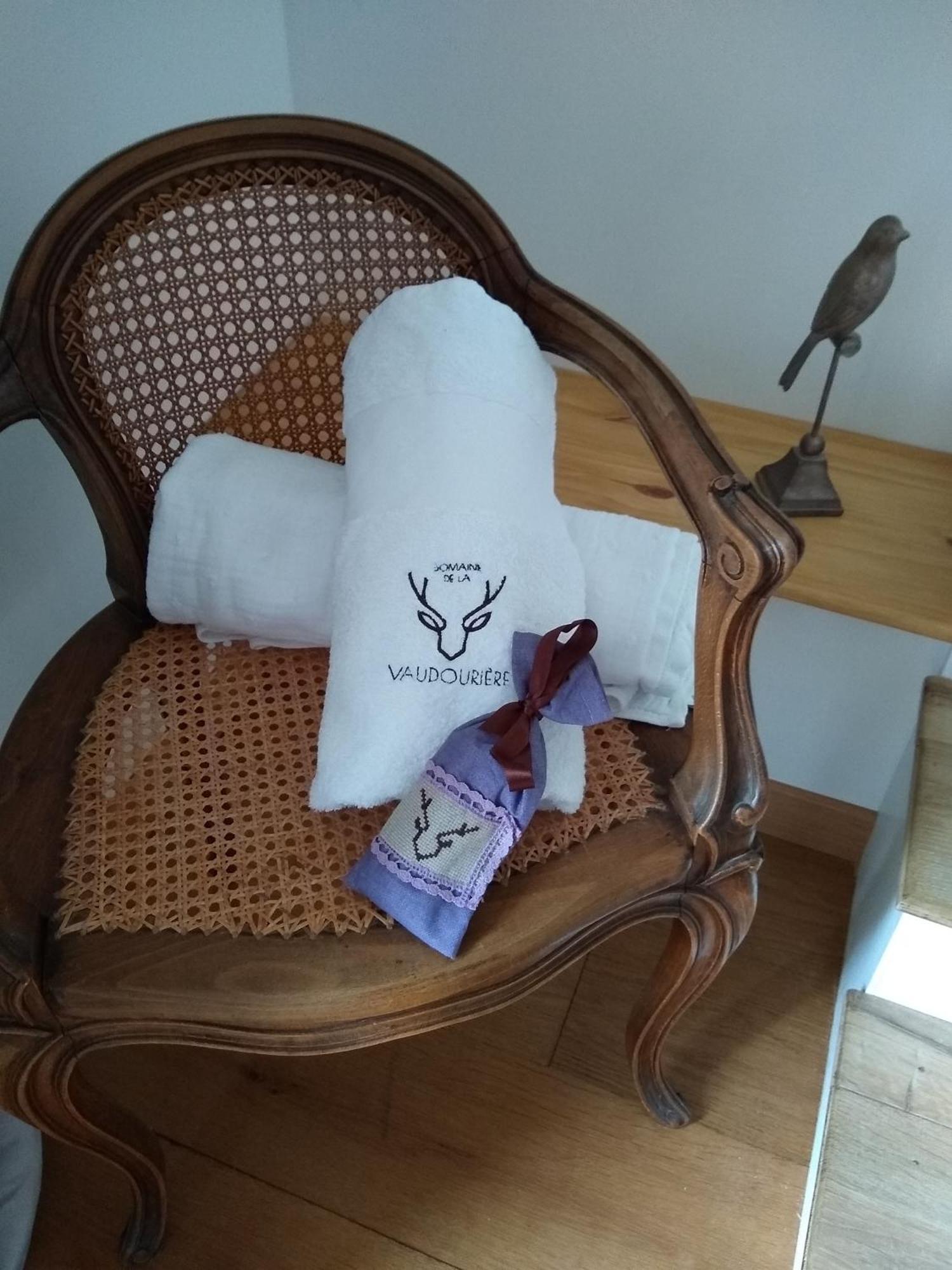 Domaine De La Vaudouriere Villa Lunay Ruang foto